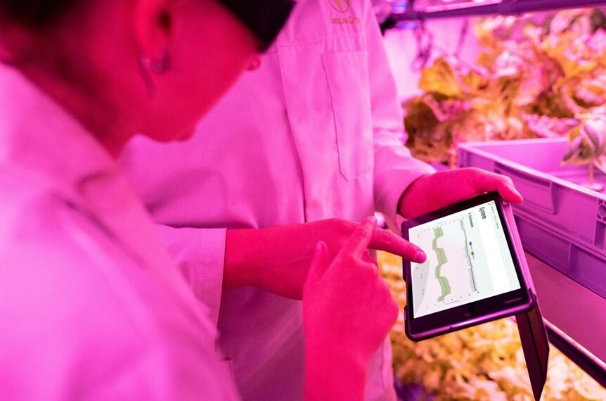 enhance growth with technology