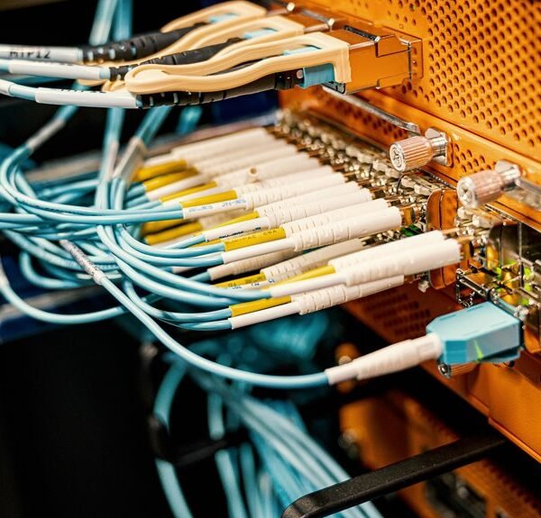 creative digital network hub